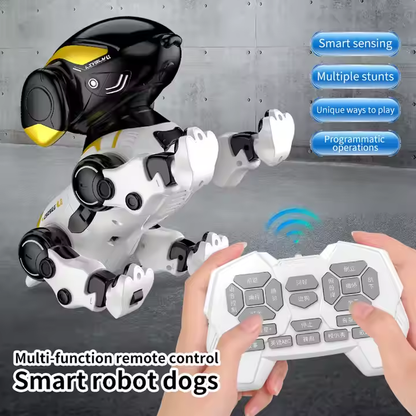 RC Remote Control Robot