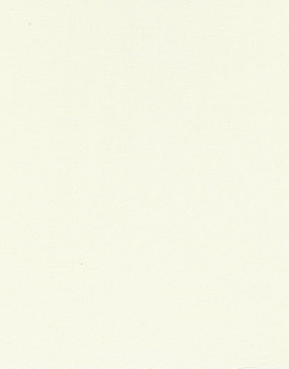 Roman Shades - 48x60 in